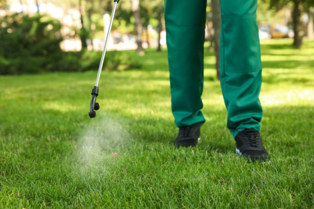 Best Rat Extermination Near Me  in Pacific City, OR