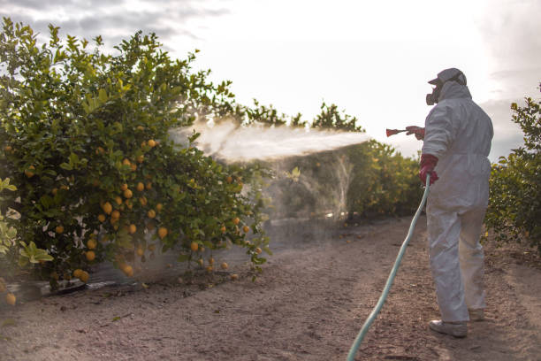 Best Ant Control Services  in Pacific City, OR