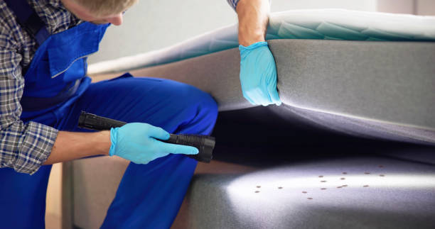 Best Termite Control Services  in Pacific City, OR