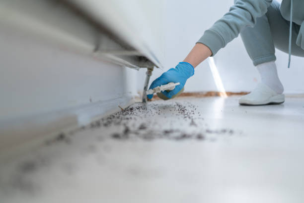 Pest Control for Restaurants in Pacific City, OR